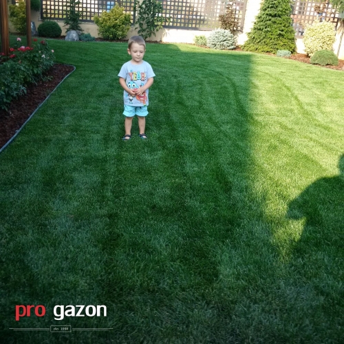 Gazon artificial, intretinere gazon, Gazon rulou sector 5 , Montaj gazon rulouri 13 Septembrie, Montaj gazon rulouri Aviatorilor, Montaj gazon rulouri Aviației, Montaj gazon rulouri Aviatiei, Montaj gazon rulouri Balta Albă, Montaj gazon rulouri Balta Alba, Montaj gazon rulouri Baicului, Montaj gazon rulouri Berceni, Montaj gazon rulouri Brâncuși, Montaj gazon rulouri Brancusi, Montaj gazon rulouri Bucureștii Noi, Montaj gazon rulouri Bucurestii Noi, Montaj gazon rulouri Băneasa, Montaj gazon rulouri Baneasa, Montaj gazon rulouri Centrul Civic, Montaj gazon rulouri Centrul istoric, Montaj gazon rulouri Chitila, Montaj gazon rulouri Colentina, Montaj gazon rulouri Cotroceni, Montaj gazon rulouri Crângași, Montaj gazon rulouri Crangasi, Montaj gazon rulouri Dealul Spirii, Montaj gazon rulouri Diham, Montaj gazon rulouri Doamna Ghica, Montaj gazon rulouri Domenii, Montaj gazon rulouri Dorobanți, Montaj gazon rulouri Dorobanti, Montaj gazon rulouri Dristor, Montaj gazon rulouri Drumul Taberei, Montaj gazon rulouri Dudești, Montaj gazon rulouri Dudesti, Montaj gazon rulouri Dămăroaia, Montaj gazon rulouri Damaroaia, Montaj gazon rulouri Ferentari, Montaj gazon rulouri Floreasca, Montaj gazon rulouri Gara de Nord, Montaj gazon rulouri Ghencea, Montaj gazon rulouri Giulești, Montaj gazon rulouri Giulesti, Montaj gazon rulouri Giurgiului, Montaj gazon rulouri Grozăvești, Montaj gazon rulouri Grozavesti, Montaj gazon rulouri Grivița, Montaj gazon rulouri Grivita, Montaj gazon rulouri Iancului, Montaj gazon rulouri Ion Creangă, Montaj gazon rulouri Ion Creanga, Montaj gazon rulouri Lipscani, Montaj gazon rulouri Militari, Montaj gazon rulouri Moșilor, Montaj gazon rulouri Mosilor, Montaj gazon rulouri Morarilor, Montaj gazon rulouri Mihai Bravu, Montaj gazon rulouri Muncii, Montaj gazon rulouri Obor, Montaj gazon rulouri Ozana, Montaj gazon rulouri Olteniței, Montaj gazon rulouri Oltenitei, Montaj gazon rulouri Pajura, Montaj gazon rulouri Pantelimon, Montaj gazon rulouri Piața Romană, Montaj gazon rulouri Piata Romana, Montaj gazon rulouri Piața Universității, Montaj gazon rulouri Piata Universitatii, Montaj gazon rulouri Piața Reșița, Montaj gazon rulouri Piata Resita, Montaj gazon rulouri Pipera, Montaj gazon rulouri Primăverii, Montaj gazon rulouri Primaverii, Montaj gazon rulouri Rahova, Montaj gazon rulouri Sălăjan, Montaj gazon rulouri Salajan, Montaj gazon rulouri Străulești, Montaj gazon rulouri Straulesti, Montaj gazon rulouri Ștefan cel Mare, Montaj gazon rulouri Stefan cel Mare, Montaj gazon rulouri Tei, Montaj gazon rulouri Timpuri Noi, Montaj gazon rulouri Tineretului, Montaj gazon rulouri Titan, Montaj gazon rulouri Unirii, Montaj gazon rulouri Vatra Luminoasă, Montaj gazon rulouri Vatra Luminoasa, Montaj gazon rulouri Văcărești, Montaj gazon rulouri Vacaresti, Montaj gazon rulouri Vergului, Montaj gazon rulouri Voluntari, Montaj gazon rulouri Victoriei, Montaj gazon rulouri Vitan, Montaj gazon rulouri Comuna Berceni, Montaj gazon rulouri Sector 1, Montaj gazon rulouri Sector 2, Montaj gazon rulouri Sector 3, Montaj gazon rulouri Sector 4, Montaj gazon rulouri Sector 5, Montaj gazon rulouri Sector 6, Montaj gazon rulouri Ilfov, Montaj gazon rulouri București, Montaj gazon rulouri Bucuresti, Montaj gazon rulouri , Montaj gazon rulouri Alba, Montaj gazon rulouri Arad, Montaj gazon rulouri Arges, Montaj gazon rulouri Bacau, Montaj gazon rulouri Bihor, Montaj gazon rulouri Bistrita Nasaud, Montaj gazon rulouri Botosani, Montaj gazon rulouri Braila, Montaj gazon rulouri Brasov, Montaj gazon rulouri Buzau, Montaj gazon rulouri Calarasi, Montaj gazon rulouri Caras Severin, Montaj gazon rulouri Cluj, Montaj gazon rulouri Constanta, Montaj gazon rulouri Covasna, Montaj gazon rulouri Dambovita, Montaj gazon rulouri Dolj, Montaj gazon rulouri Galati, Montaj gazon rulouri Giurgiu, Montaj gazon rulouri Gorj, Montaj gazon rulouri Harghita, Montaj gazon rulouri Hunedoara, Montaj gazon rulouri Ialomita, Montaj gazon rulouri Iasi, Montaj gazon rulouri Ilfov, Montaj gazon rulouri Maramures, Montaj gazon rulouri Mehedinti, Montaj gazon rulouri Mures, Montaj gazon rulouri Neamt, Montaj gazon rulouri Olt, Montaj gazon rulouri Prahova, Montaj gazon rulouri Salaj, Montaj gazon rulouri Satu Mare, Montaj gazon rulouri Sibiu, Montaj gazon rulouri Suceava, Montaj gazon rulouri Teleorman, Montaj gazon rulouri Timis, Montaj gazon rulouri Tulcea, Montaj gazon rulouri Valcea, Montaj gazon rulouri Vaslui, Montaj gazon rulouri Vrancea, Pret rulou gazon, Rulou de gazon Bucuresti, Montaj gazon rulouri 13 Septembrie, Montaj gazon rulouri Aviatorilor, Montaj gazon rulouri Aviației, Montaj gazon rulouri Aviatiei, Montaj gazon rulouri Balta Albă, Montaj gazon rulouri Balta Alba, Montaj gazon rulouri Baicului, Montaj gazon rulouri Berceni, Montaj gazon rulouri Brâncuși, Montaj gazon rulouri Brancusi, Montaj gazon rulouri Bucureștii Noi, Montaj gazon rulouri Bucurestii Noi, Montaj gazon rulouri Băneasa, Montaj gazon rulouri Baneasa, Montaj gazon rulouri Centrul Civic, Montaj gazon rulouri Centrul istoric, Montaj gazon rulouri Chitila, Montaj gazon rulouri Colentina, Montaj gazon rulouri Cotroceni, Montaj gazon rulouri Crângași, Montaj gazon rulouri Crangasi, Montaj gazon rulouri Dealul Spirii, Montaj gazon rulouri Diham, Montaj gazon rulouri Doamna Ghica, Montaj gazon rulouri Domenii, Montaj gazon rulouri Dorobanți, Montaj gazon rulouri Dorobanti, Montaj gazon rulouri Dristor, Montaj gazon rulouri Drumul Taberei, Montaj gazon rulouri Dudești, Montaj gazon rulouri Dudesti, Montaj gazon rulouri Dămăroaia, Montaj gazon rulouri Damaroaia, Montaj gazon rulouri Ferentari, Montaj gazon rulouri Floreasca, Montaj gazon rulouri Gara de Nord, Montaj gazon rulouri Ghencea, Montaj gazon rulouri Giulești, Montaj gazon rulouri Giulesti, Montaj gazon rulouri Giurgiului, Montaj gazon rulouri Grozăvești, Montaj gazon rulouri Grozavesti, Montaj gazon rulouri Grivița, Montaj gazon rulouri Grivita, Montaj gazon rulouri Iancului, Montaj gazon rulouri Ion Creangă, Montaj gazon rulouri Ion Creanga, Montaj gazon rulouri Lipscani, Montaj gazon rulouri Militari, Montaj gazon rulouri Moșilor, Montaj gazon rulouri Mosilor, Montaj gazon rulouri Morarilor, Montaj gazon rulouri Mihai Bravu, Montaj gazon rulouri Muncii, Montaj gazon rulouri Obor, Montaj gazon rulouri Ozana, Montaj gazon rulouri Olteniței, Montaj gazon rulouri Oltenitei, Montaj gazon rulouri Pajura, Montaj gazon rulouri Pantelimon, Montaj gazon rulouri Piața Romană, Montaj gazon rulouri Piata Romana, Montaj gazon rulouri Piața Universității, Montaj gazon rulouri Piata Universitatii, Montaj gazon rulouri Piața Reșița, Montaj gazon rulouri Piata Resita, Montaj gazon rulouri Pipera, Montaj gazon rulouri Primăverii, Montaj gazon rulouri Primaverii, Montaj gazon rulouri Rahova, Montaj gazon rulouri Sălăjan, Montaj gazon rulouri Salajan, Montaj gazon rulouri Străulești, Montaj gazon rulouri Straulesti, Montaj gazon rulouri Ștefan cel Mare, Montaj gazon rulouri Stefan cel Mare, Montaj gazon rulouri Tei, Montaj gazon rulouri Timpuri Noi, Montaj gazon rulouri Tineretului, Montaj gazon rulouri Titan, Montaj gazon rulouri Unirii, Montaj gazon rulouri Vatra Luminoasă, Montaj gazon rulouri Vatra Luminoasa, Montaj gazon rulouri Văcărești, Montaj gazon rulouri Vacaresti, Montaj gazon rulouri Vergului, Montaj gazon rulouri Voluntari, Montaj gazon rulouri Victoriei, Montaj gazon rulouri Vitan, Montaj gazon rulouri Comuna Berceni, Montaj gazon rulouri Sector 1, Montaj gazon rulouri Sector 2, Montaj gazon rulouri Sector 3, Montaj gazon rulouri Sector 4, Montaj gazon rulouri Sector 5, Montaj gazon rulouri Sector 6, Montaj gazon rulouri Ilfov, Montaj gazon rulouri București, Montaj gazon rulouri Bucuresti, Montaj gazon rulouri , Montaj gazon rulouri Alba, Montaj gazon rulouri Arad, Montaj gazon rulouri Arges, Montaj gazon rulouri Bacau, Montaj gazon rulouri Bihor, Montaj gazon rulouri Bistrita Nasaud, Montaj gazon rulouri Botosani, Montaj gazon rulouri Braila, Montaj gazon rulouri Brasov, Montaj gazon rulouri Buzau, Montaj gazon rulouri Calarasi, Montaj gazon rulouri Caras Severin, Montaj gazon rulouri Cluj, Montaj gazon rulouri Constanta, Montaj gazon rulouri Covasna, Montaj gazon rulouri Dambovita, Montaj gazon rulouri Dolj, Montaj gazon rulouri Galati, Montaj gazon rulouri Giurgiu, Montaj gazon rulouri Gorj, Montaj gazon rulouri Harghita, Montaj gazon rulouri Hunedoara, Montaj gazon rulouri Ialomita, Montaj gazon rulouri Iasi, Montaj gazon rulouri Ilfov, Montaj gazon rulouri Maramures, Montaj gazon rulouri Mehedinti, Montaj gazon rulouri Mures, Montaj gazon rulouri Neamt, Montaj gazon rulouri Olt, Montaj gazon rulouri Prahova, Montaj gazon rulouri Salaj, Montaj gazon rulouri Satu Mare, Montaj gazon rulouri Sibiu, Montaj gazon rulouri Suceava, Montaj gazon rulouri Teleorman, Montaj gazon rulouri Timis, Montaj gazon rulouri Tulcea, Montaj gazon rulouri Valcea, Montaj gazon rulouri Vaslui, Montaj gazon rulouri Vrancea,gazon sector 1, gazon sector 2 . gazon sector 3, gazon bucuresti, gazon , gazon sector 4, gazon sector 5, gazomn sector 6 , gazon ilfov, gazon giurgiu,Rulouri de gazon 13 Septembrie, Rulouri de gazon Aviatorilor, Rulouri de gazon Aviației, Rulouri de gazon Aviatiei, Rulouri de gazon Balta Albă, Rulouri de gazon Balta Alba, Rulouri de gazon Baicului, Rulouri de gazon Berceni, Rulouri de gazon Brâncuși, Rulouri de gazon Brancusi, Rulouri de gazon Bucureștii Noi, Rulouri de gazon Bucurestii Noi, Rulouri de gazon Băneasa, Rulouri de gazon Baneasa, Rulouri de gazon Centrul Civic, Rulouri de gazon Centrul istoric, Rulouri de gazon Chitila, Rulouri de gazon Colentina, Rulouri de gazon Cotroceni, Rulouri de gazon Crângași, Rulouri de gazon Crangasi, Rulouri de gazon Dealul Spirii, Rulouri de gazon Diham, Rulouri de gazon Doamna Ghica, Rulouri de gazon Domenii, Rulouri de gazon Dorobanți, Rulouri de gazon Dorobanti, Rulouri de gazon Dristor, Rulouri de gazon Drumul Taberei, Rulouri de gazon Dudești, Rulouri de gazon Dudesti, Rulouri de gazon Dămăroaia, Rulouri de gazon Damaroaia, Rulouri de gazon Ferentari, Rulouri de gazon Floreasca, Rulouri de gazon Gara de Nord, Rulouri de gazon Ghencea, Rulouri de gazon Giulești, Rulouri de gazon Giulesti, Rulouri de gazon Giurgiului, Rulouri de gazon Grozăvești, Rulouri de gazon Grozavesti, Rulouri de gazon Grivița, Rulouri de gazon Grivita, Rulouri de gazon Iancului, Rulouri de gazon Ion Creangă, Rulouri de gazon Ion Creanga, Rulouri de gazon Lipscani, Rulouri de gazon Militari, Rulouri de gazon Moșilor, Rulouri de gazon Mosilor, Rulouri de gazon Morarilor, Rulouri de gazon Mihai Bravu, Rulouri de gazon Muncii, Rulouri de gazon Obor, Rulouri de gazon Ozana, Rulouri de gazon Olteniței, Rulouri de gazon Oltenitei, Rulouri de gazon Pajura, Rulouri de gazon Pantelimon, Rulouri de gazon Piața Romană, Rulouri de gazon Piata Romana, Rulouri de gazon Piața Universității, Rulouri de gazon Piata Universitatii, Rulouri de gazon Piața Reșița, Rulouri de gazon Piata Resita, Rulouri de gazon Pipera, Rulouri de gazon Primăverii, Rulouri de gazon Primaverii, Rulouri de gazon Rahova, Rulouri de gazon Sălăjan, Rulouri de gazon Salajan, Rulouri de gazon Străulești, Rulouri de gazon Straulesti, Rulouri de gazon Ștefan cel Mare, Rulouri de gazon Stefan cel Mare, Rulouri de gazon Tei, Rulouri de gazon Timpuri Noi, Rulouri de gazon Tineretului, Rulouri de gazon Titan, Rulouri de gazon Unirii, Rulouri de gazon Vatra Luminoasă, Rulouri de gazon Vatra Luminoasa, Rulouri de gazon Văcărești, Rulouri de gazon Vacaresti, Rulouri de gazon Vergului, Rulouri de gazon Voluntari, Rulouri de gazon Victoriei, Rulouri de gazon Vitan, Rulouri de gazon Comuna Berceni, Rulouri de gazon Sector 1, Rulouri de gazon Sector 2, Rulouri de gazon Sector 3, Rulouri de gazon Sector 4, Rulouri de gazon Sector 5, Rulouri de gazon Sector 6, Rulouri de gazon Ilfov, Rulouri de gazon București, Rulouri de gazon Bucuresti, Rulouri de gazon , Rulouri de gazon Alba, Rulouri de gazon Arad, Rulouri de gazon Arges, Rulouri de gazon Bacau, Rulouri de gazon Bihor, Rulouri de gazon Bistrita Nasaud, Rulouri de gazon Botosani, Rulouri de gazon Braila, Rulouri de gazon Brasov, Rulouri de gazon Buzau, Rulouri de gazon Calarasi, Rulouri de gazon Caras Severin, Rulouri de gazon Cluj, Rulouri de gazon Constanta, Rulouri de gazon Covasna, Rulouri de gazon Dambovita, Rulouri de gazon Dolj, Rulouri de gazon Galati, Rulouri de gazon Giurgiu, Rulouri de gazon Gorj, Rulouri de gazon Harghita, Rulouri de gazon Hunedoara, Rulouri de gazon Ialomita, Rulouri de gazon Iasi, Rulouri de gazon Ilfov, Rulouri de gazon Maramures, Rulouri de gazon Mehedinti, Rulouri de gazon Mures, Rulouri de gazon Neamt, Rulouri de gazon Olt, Rulouri de gazon Prahova, Rulouri de gazon Salaj, Rulouri de gazon Satu Mare, Rulouri de gazon Sibiu, Rulouri de gazon Suceava, Rulouri de gazon Teleorman, Rulouri de gazon Timis, Rulouri de gazon Tulcea, Rulouri de gazon Valcea, Rulouri de gazon Vaslui, Rulouri de gazon Vrancea,,gazon rulouri – rulouri de gazon bucuresti