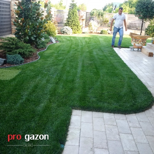 intretinere gazon rulouri , fertilizarea gazonului, gazon , gazon rulouri, rulouri de gazon ,aerarea gazonului, udarea gazonului Pret rulou gazon, Rulou de gazon Bucuresti, Montaj gazon rulouri 13 Septembrie, Montaj gazon rulouri Aviatorilor, Montaj gazon rulouri Aviației, Montaj gazon rulouri Aviatiei, Montaj gazon rulouri Balta Albă, Montaj gazon rulouri Balta Alba, Montaj gazon rulouri Baicului, Montaj gazon rulouri Berceni, Montaj gazon rulouri Brâncuși, Montaj gazon rulouri Brancusi, Montaj gazon rulouri Bucureștii Noi, Montaj gazon rulouri Bucurestii Noi, Montaj gazon rulouri Băneasa, Montaj gazon rulouri Baneasa, Montaj gazon rulouri Centrul Civic, Montaj gazon rulouri Centrul istoric, Montaj gazon rulouri Chitila, Montaj gazon rulouri Colentina, Montaj gazon rulouri Cotroceni, Montaj gazon rulouri Crângași, Montaj gazon rulouri Crangasi, Montaj gazon rulouri Dealul Spirii, Montaj gazon rulouri Diham, Montaj gazon rulouri Doamna Ghica, Montaj gazon rulouri Domenii, Montaj gazon rulouri Dorobanți, Montaj gazon rulouri Dorobanti, Montaj gazon rulouri Dristor, Montaj gazon rulouri Drumul Taberei, Montaj gazon rulouri Dudești, Montaj gazon rulouri Dudesti, Montaj gazon rulouri Dămăroaia, Montaj gazon rulouri Damaroaia, Montaj gazon rulouri Ferentari, Montaj gazon rulouri Floreasca, Montaj gazon rulouri Gara de Nord, Montaj gazon rulouri Ghencea, Montaj gazon rulouri Giulești, Montaj gazon rulouri Giulesti, Montaj gazon rulouri Giurgiului, Montaj gazon rulouri Grozăvești, Montaj gazon rulouri Grozavesti, Montaj gazon rulouri Grivița, Montaj gazon rulouri Grivita, Montaj gazon rulouri Iancului, Montaj gazon rulouri Ion Creangă, Montaj gazon rulouri Ion Creanga, Montaj gazon rulouri Lipscani, Montaj gazon rulouri Militari, Montaj gazon rulouri Moșilor, Montaj gazon rulouri Mosilor, Montaj gazon rulouri Morarilor, Montaj gazon rulouri Mihai Bravu, Montaj gazon rulouri Muncii, Montaj gazon rulouri Obor, Montaj gazon rulouri Ozana, Montaj gazon rulouri Olteniței, Montaj gazon rulouri Oltenitei, Montaj gazon rulouri Pajura, Montaj gazon rulouri Pantelimon, Montaj gazon rulouri Piața Romană, Montaj gazon rulouri Piata Romana, Montaj gazon rulouri Piața Universității, Montaj gazon rulouri Piata Universitatii, Montaj gazon rulouri Piața Reșița, Montaj gazon rulouri Piata Resita, Montaj gazon rulouri Pipera, Montaj gazon rulouri Primăverii, Montaj gazon rulouri Primaverii, Montaj gazon rulouri Rahova, Montaj gazon rulouri Sălăjan, Montaj gazon rulouri Salajan, Montaj gazon rulouri Străulești, Montaj gazon rulouri Straulesti, Montaj gazon rulouri Ștefan cel Mare, Montaj gazon rulouri Stefan cel Mare, Montaj gazon rulouri Tei, Montaj gazon rulouri Timpuri Noi, Montaj gazon rulouri Tineretului, Montaj gazon rulouri Titan, Montaj gazon rulouri Unirii, Montaj gazon rulouri Vatra Luminoasă, Montaj gazon rulouri Vatra Luminoasa, Montaj gazon rulouri Văcărești, Montaj gazon rulouri Vacaresti, Montaj gazon rulouri Vergului, Montaj gazon rulouri Voluntari, Montaj gazon rulouri Victoriei, Montaj gazon rulouri Vitan, Montaj gazon rulouri Comuna Berceni, Montaj gazon rulouri Sector 1, Montaj gazon rulouri Sector 2, Montaj gazon rulouri Sector 3, Montaj gazon rulouri Sector 4, Montaj gazon rulouri Sector 5, Montaj gazon rulouri Sector 6, Montaj gazon rulouri Ilfov, Montaj gazon rulouri București, Montaj gazon rulouri Bucuresti, Montaj gazon rulouri , Montaj gazon rulouri Alba, Montaj gazon rulouri Arad, Montaj gazon rulouri Arges, Montaj gazon rulouri Bacau, Montaj gazon rulouri Bihor, Montaj gazon rulouri Bistrita Nasaud, Montaj gazon rulouri Botosani, Montaj gazon rulouri Braila, Montaj gazon rulouri Brasov, Montaj gazon rulouri Buzau, Montaj gazon rulouri Calarasi, Montaj gazon rulouri Caras Severin, Montaj gazon rulouri Cluj, Montaj gazon rulouri Constanta, Montaj gazon rulouri Covasna, Montaj gazon rulouri Dambovita, Montaj gazon rulouri Dolj, Montaj gazon rulouri Galati, Montaj gazon rulouri Giurgiu, Montaj gazon rulouri Gorj, Montaj gazon rulouri Harghita, Montaj gazon rulouri Hunedoara, Montaj gazon rulouri Ialomita, Montaj gazon rulouri Iasi, Montaj gazon rulouri Ilfov, Montaj gazon rulouri Maramures, Montaj gazon rulouri Mehedinti, Montaj gazon rulouri Mures, Montaj gazon rulouri Neamt, Montaj gazon rulouri Olt, Montaj gazon rulouri Prahova, Montaj gazon rulouri Salaj, Montaj gazon rulouri Satu Mare, Montaj gazon rulouri Sibiu, Montaj gazon rulouri Suceava, Montaj gazon rulouri Teleorman, Montaj gazon rulouri Timis, Montaj gazon rulouri Tulcea, Montaj gazon rulouri Valcea, Montaj gazon rulouri Vaslui, Montaj gazon rulouri Vrancea,gazon sector 1, gazon sector 2 . gazon sector 3, gazon bucuresti, gazon , gazon sector 4, gazon sector 5, gazomn sector 6 , gazon ilfov, gazon giurgiu,Rulouri de gazon 13 Septembrie, Rulouri de gazon Aviatorilor, Rulouri de gazon Aviației, Rulouri de gazon Aviatiei, Rulouri de gazon Balta Albă, Rulouri de gazon Balta Alba, Rulouri de gazon Baicului, Rulouri de gazon Berceni, Rulouri de gazon Brâncuși, Rulouri de gazon Brancusi, Rulouri de gazon Bucureștii Noi, Rulouri de gazon Bucurestii Noi, Rulouri de gazon Băneasa, Rulouri de gazon Baneasa, Rulouri de gazon Centrul Civic, Rulouri de gazon Centrul istoric, Rulouri de gazon Chitila, Rulouri de gazon Colentina, Rulouri de gazon Cotroceni, Rulouri de gazon Crângași, Rulouri de gazon Crangasi, Rulouri de gazon Dealul Spirii, Rulouri de gazon Diham, Rulouri de gazon Doamna Ghica, Rulouri de gazon Domenii, Rulouri de gazon Dorobanți, Rulouri de gazon Dorobanti, Rulouri de gazon Dristor, Rulouri de gazon Drumul Taberei, Rulouri de gazon Dudești, Rulouri de gazon Dudesti, Rulouri de gazon Dămăroaia, Rulouri de gazon Damaroaia, Rulouri de gazon Ferentari, Rulouri de gazon Floreasca, Rulouri de gazon Gara de Nord, Rulouri de gazon Ghencea, Rulouri de gazon Giulești, Rulouri de gazon Giulesti, Rulouri de gazon Giurgiului, Rulouri de gazon Grozăvești, Rulouri de gazon Grozavesti, Rulouri de gazon Grivița, Rulouri de gazon Grivita, Rulouri de gazon Iancului, Rulouri de gazon Ion Creangă, Rulouri de gazon Ion Creanga, Rulouri de gazon Lipscani, Rulouri de gazon Militari, Rulouri de gazon Moșilor, Rulouri de gazon Mosilor, Rulouri de gazon Morarilor, Rulouri de gazon Mihai Bravu, Rulouri de gazon Muncii, Rulouri de gazon Obor, Rulouri de gazon Ozana, Rulouri de gazon Olteniței, Rulouri de gazon Oltenitei, Rulouri de gazon Pajura, Rulouri de gazon Pantelimon, Rulouri de gazon Piața Romană, Rulouri de gazon Piata Romana, Rulouri de gazon Piața Universității, Rulouri de gazon Piata Universitatii, Rulouri de gazon Piața Reșița, Rulouri de gazon Piata Resita, Rulouri de gazon Pipera, Rulouri de gazon Primăverii, Rulouri de gazon Primaverii, Rulouri de gazon Rahova, Rulouri de gazon Sălăjan, Rulouri de gazon Salajan, Rulouri de gazon Străulești, Rulouri de gazon Straulesti, Rulouri de gazon Ștefan cel Mare, Rulouri de gazon Stefan cel Mare, Rulouri de gazon Tei, Rulouri de gazon Timpuri Noi, Rulouri de gazon Tineretului, Rulouri de gazon Titan, Rulouri de gazon Unirii, Rulouri de gazon Vatra Luminoasă, Rulouri de gazon Vatra Luminoasa, Rulouri de gazon Văcărești, Rulouri de gazon Vacaresti, Rulouri de gazon Vergului, Rulouri de gazon Voluntari, Rulouri de gazon Victoriei, Rulouri de gazon Vitan, Rulouri de gazon Comuna Berceni, Rulouri de gazon Sector 1, Rulouri de gazon Sector 2, Rulouri de gazon Sector 3, Rulouri de gazon Sector 4, Rulouri de gazon Sector 5, Rulouri de gazon Sector 6, Rulouri de gazon Ilfov, Rulouri de gazon București, Rulouri de gazon Bucuresti, Rulouri de gazon , Rulouri de gazon Alba, Rulouri de gazon Arad, Rulouri de gazon Arges, Rulouri de gazon Bacau, Rulouri de gazon Bihor, Rulouri de gazon Bistrita Nasaud, Rulouri de gazon Botosani, Rulouri de gazon Braila, Rulouri de gazon Brasov, Rulouri de gazon Buzau, Rulouri de gazon Calarasi, Rulouri de gazon Caras Severin, Rulouri de gazon Cluj, Rulouri de gazon Constanta, Rulouri de gazon Covasna, Rulouri de gazon Dambovita, Rulouri de gazon Dolj, Rulouri de gazon Galati, Rulouri de gazon Giurgiu, Rulouri de gazon Gorj, Rulouri de gazon Harghita, Rulouri de gazon Hunedoara, Rulouri de gazon Ialomita, Rulouri de gazon Iasi, Rulouri de gazon Ilfov, Rulouri de gazon Maramures, Rulouri de gazon Mehedinti, Rulouri de gazon Mures, Rulouri de gazon Neamt, Rulouri de gazon Olt, Rulouri de gazon Prahova, Rulouri de gazon Salaj, Rulouri de gazon Satu Mare, Rulouri de gazon Sibiu, Rulouri de gazon Suceava, Rulouri de gazon Teleorman, Rulouri de gazon Timis, Rulouri de gazon Tulcea, Rulouri de gazon Valcea, Rulouri de gazon Vaslui, Rulouri de gazon Vrancea,,gazon rulouri – rulouri de gazon bucuresti