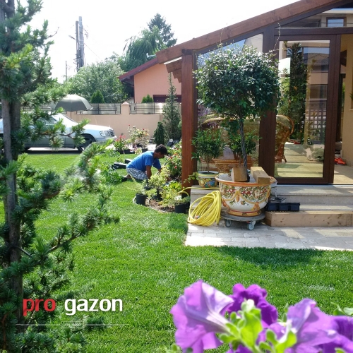 Gazon rulou pret, Gazon rulou sector 6 , Rulouri de gazon 13 Septembrie, Rulouri de gazon Aviatorilor, Rulouri de gazon Aviației, Rulouri de gazon Aviatiei, Rulouri de gazon Balta Albă, Rulouri de gazon Balta Alba, Rulouri de gazon Baicului, Rulouri de gazon Berceni, Rulouri de gazon Brâncuși, Rulouri de gazon Brancusi, Rulouri de gazon Bucureștii Noi, Rulouri de gazon Bucurestii Noi, Rulouri de gazon Băneasa, Rulouri de gazon Baneasa, Rulouri de gazon Centrul Civic, Rulouri de gazon Centrul istoric, Rulouri de gazon Chitila, Rulouri de gazon Colentina, Rulouri de gazon Cotroceni, Rulouri de gazon Crângași, Rulouri de gazon Crangasi, Rulouri de gazon Dealul Spirii, Rulouri de gazon Diham, Rulouri de gazon Doamna Ghica, Rulouri de gazon Domenii, Rulouri de gazon Dorobanți, Rulouri de gazon Dorobanti, Rulouri de gazon Dristor, Rulouri de gazon Drumul Taberei, Rulouri de gazon Dudești, Rulouri de gazon Dudesti, Rulouri de gazon Dămăroaia, Rulouri de gazon Damaroaia, Rulouri de gazon Ferentari, Rulouri de gazon Floreasca, Rulouri de gazon Gara de Nord, Rulouri de gazon Ghencea, Rulouri de gazon Giulești, Rulouri de gazon Giulesti, Rulouri de gazon Giurgiului, Rulouri de gazon Grozăvești, Rulouri de gazon Grozavesti, Rulouri de gazon Grivița, Rulouri de gazon Grivita, Rulouri de gazon Iancului, Rulouri de gazon Ion Creangă, Rulouri de gazon Ion Creanga, Rulouri de gazon Lipscani, Rulouri de gazon Militari, Rulouri de gazon Moșilor, Rulouri de gazon Mosilor, Rulouri de gazon Morarilor, Rulouri de gazon Mihai Bravu, Rulouri de gazon Muncii, Rulouri de gazon Obor, Rulouri de gazon Ozana, Rulouri de gazon Olteniței, Rulouri de gazon Oltenitei, Rulouri de gazon Pajura, Rulouri de gazon Pantelimon, Rulouri de gazon Piața Romană, Rulouri de gazon Piata Romana, Rulouri de gazon Piața Universității, Rulouri de gazon Piata Universitatii, Rulouri de gazon Piața Reșița, Rulouri de gazon Piata Resita, Rulouri de gazon Pipera, Rulouri de gazon Primăverii, Rulouri de gazon Primaverii, Rulouri de gazon Rahova, Rulouri de gazon Sălăjan, Rulouri de gazon Salajan, Rulouri de gazon Străulești, Rulouri de gazon Straulesti, Rulouri de gazon Ștefan cel Mare, Rulouri de gazon Stefan cel Mare, Rulouri de gazon Tei, Rulouri de gazon Timpuri Noi, Rulouri de gazon Tineretului, Rulouri de gazon Titan, Rulouri de gazon Unirii, Rulouri de gazon Vatra Luminoasă, Rulouri de gazon Vatra Luminoasa, Rulouri de gazon Văcărești, Rulouri de gazon Vacaresti, Rulouri de gazon Vergului, Rulouri de gazon Voluntari, Rulouri de gazon Victoriei, Rulouri de gazon Vitan, Rulouri de gazon Comuna Berceni, Rulouri de gazon Sector 1, Rulouri de gazon Sector 2, Rulouri de gazon Sector 3, Rulouri de gazon Sector 4, Rulouri de gazon Sector 5, Rulouri de gazon Sector 6, Rulouri de gazon Ilfov, Rulouri de gazon București, Rulouri de gazon Bucuresti, Rulouri de gazon , Rulouri de gazon Alba, Rulouri de gazon Arad, Rulouri de gazon Arges, Rulouri de gazon Bacau, Rulouri de gazon Bihor, Rulouri de gazon Bistrita Nasaud, Rulouri de gazon Botosani, Rulouri de gazon Braila, Rulouri de gazon Brasov, Rulouri de gazon Buzau, Rulouri de gazon Calarasi, Rulouri de gazon Caras Severin, Rulouri de gazon Cluj, Rulouri de gazon Constanta, Rulouri de gazon Covasna, Rulouri de gazon Dambovita, Rulouri de gazon Dolj, Rulouri de gazon Galati, Rulouri de gazon Giurgiu, Rulouri de gazon Gorj, Rulouri de gazon Harghita, Rulouri de gazon Hunedoara, Rulouri de gazon Ialomita, Rulouri de gazon Iasi, Rulouri de gazon Ilfov, Rulouri de gazon Maramures, Rulouri de gazon Mehedinti, Rulouri de gazon Mures, Rulouri de gazon Neamt, Rulouri de gazon Olt, Rulouri de gazon Prahova, Rulouri de gazon Salaj, Rulouri de gazon Satu Mare, Rulouri de gazon Sibiu, Rulouri de gazon Suceava, Rulouri de gazon Teleorman, Rulouri de gazon Timis, Rulouri de gazon Tulcea, Rulouri de gazon Valcea, Rulouri de gazon Vaslui, Rulouri de gazon Vrancea, Pret rulou gazon, Rulou de gazon Bucuresti, Montaj gazon rulouri 13 Septembrie, Montaj gazon rulouri Aviatorilor, Montaj gazon rulouri Aviației, Montaj gazon rulouri Aviatiei, Montaj gazon rulouri Balta Albă, Montaj gazon rulouri Balta Alba, Montaj gazon rulouri Baicului, Montaj gazon rulouri Berceni, Montaj gazon rulouri Brâncuși, Montaj gazon rulouri Brancusi, Montaj gazon rulouri Bucureștii Noi, Montaj gazon rulouri Bucurestii Noi, Montaj gazon rulouri Băneasa, Montaj gazon rulouri Baneasa, Montaj gazon rulouri Centrul Civic, Montaj gazon rulouri Centrul istoric, Montaj gazon rulouri Chitila, Montaj gazon rulouri Colentina, Montaj gazon rulouri Cotroceni, Montaj gazon rulouri Crângași, Montaj gazon rulouri Crangasi, Montaj gazon rulouri Dealul Spirii, Montaj gazon rulouri Diham, Montaj gazon rulouri Doamna Ghica, Montaj gazon rulouri Domenii, Montaj gazon rulouri Dorobanți, Montaj gazon rulouri Dorobanti, Montaj gazon rulouri Dristor, Montaj gazon rulouri Drumul Taberei, Montaj gazon rulouri Dudești, Montaj gazon rulouri Dudesti, Montaj gazon rulouri Dămăroaia, Montaj gazon rulouri Damaroaia, Montaj gazon rulouri Ferentari, Montaj gazon rulouri Floreasca, Montaj gazon rulouri Gara de Nord, Montaj gazon rulouri Ghencea, Montaj gazon rulouri Giulești, Montaj gazon rulouri Giulesti, Montaj gazon rulouri Giurgiului, Montaj gazon rulouri Grozăvești, Montaj gazon rulouri Grozavesti, Montaj gazon rulouri Grivița, Montaj gazon rulouri Grivita, Montaj gazon rulouri Iancului, Montaj gazon rulouri Ion Creangă, Montaj gazon rulouri Ion Creanga, Montaj gazon rulouri Lipscani, Montaj gazon rulouri Militari, Montaj gazon rulouri Moșilor, Montaj gazon rulouri Mosilor, Montaj gazon rulouri Morarilor, Montaj gazon rulouri Mihai Bravu, Montaj gazon rulouri Muncii, Montaj gazon rulouri Obor, Montaj gazon rulouri Ozana, Montaj gazon rulouri Olteniței, Montaj gazon rulouri Oltenitei, Montaj gazon rulouri Pajura, Montaj gazon rulouri Pantelimon, Montaj gazon rulouri Piața Romană, Montaj gazon rulouri Piata Romana, Montaj gazon rulouri Piața Universității, Montaj gazon rulouri Piata Universitatii, Montaj gazon rulouri Piața Reșița, Montaj gazon rulouri Piata Resita, Montaj gazon rulouri Pipera, Montaj gazon rulouri Primăverii, Montaj gazon rulouri Primaverii, Montaj gazon rulouri Rahova, Montaj gazon rulouri Sălăjan, Montaj gazon rulouri Salajan, Montaj gazon rulouri Străulești, Montaj gazon rulouri Straulesti, Montaj gazon rulouri Ștefan cel Mare, Montaj gazon rulouri Stefan cel Mare, Montaj gazon rulouri Tei, Montaj gazon rulouri Timpuri Noi, Montaj gazon rulouri Tineretului, Montaj gazon rulouri Titan, Montaj gazon rulouri Unirii, Montaj gazon rulouri Vatra Luminoasă, Montaj gazon rulouri Vatra Luminoasa, Montaj gazon rulouri Văcărești, Montaj gazon rulouri Vacaresti, Montaj gazon rulouri Vergului, Montaj gazon rulouri Voluntari, Montaj gazon rulouri Victoriei, Montaj gazon rulouri Vitan, Montaj gazon rulouri Comuna Berceni, Montaj gazon rulouri Sector 1, Montaj gazon rulouri Sector 2, Montaj gazon rulouri Sector 3, Montaj gazon rulouri Sector 4, Montaj gazon rulouri Sector 5, Montaj gazon rulouri Sector 6, Montaj gazon rulouri Ilfov, Montaj gazon rulouri București, Montaj gazon rulouri Bucuresti, Montaj gazon rulouri , Montaj gazon rulouri Alba, Montaj gazon rulouri Arad, Montaj gazon rulouri Arges, Montaj gazon rulouri Bacau, Montaj gazon rulouri Bihor, Montaj gazon rulouri Bistrita Nasaud, Montaj gazon rulouri Botosani, Montaj gazon rulouri Braila, Montaj gazon rulouri Brasov, Montaj gazon rulouri Buzau, Montaj gazon rulouri Calarasi, Montaj gazon rulouri Caras Severin, Montaj gazon rulouri Cluj, Montaj gazon rulouri Constanta, Montaj gazon rulouri Covasna, Montaj gazon rulouri Dambovita, Montaj gazon rulouri Dolj, Montaj gazon rulouri Galati, Montaj gazon rulouri Giurgiu, Montaj gazon rulouri Gorj, Montaj gazon rulouri Harghita, Montaj gazon rulouri Hunedoara, Montaj gazon rulouri Ialomita, Montaj gazon rulouri Iasi, Montaj gazon rulouri Ilfov, Montaj gazon rulouri Maramures, Montaj gazon rulouri Mehedinti, Montaj gazon rulouri Mures, Montaj gazon rulouri Neamt, Montaj gazon rulouri Olt, Montaj gazon rulouri Prahova, Montaj gazon rulouri Salaj, Montaj gazon rulouri Satu Mare, Montaj gazon rulouri Sibiu, Montaj gazon rulouri Suceava, Montaj gazon rulouri Teleorman, Montaj gazon rulouri Timis, Montaj gazon rulouri Tulcea, Montaj gazon rulouri Valcea, Montaj gazon rulouri Vaslui, Montaj gazon rulouri Vrancea,gazon sector 1, gazon sector 2 . gazon sector 3, gazon bucuresti, gazon , gazon sector 4, gazon sector 5, gazomn sector 6 , gazon ilfov, gazon giurgiu,Rulouri de gazon 13 Septembrie, Rulouri de gazon Aviatorilor, Rulouri de gazon Aviației, Rulouri de gazon Aviatiei, Rulouri de gazon Balta Albă, Rulouri de gazon Balta Alba, Rulouri de gazon Baicului, Rulouri de gazon Berceni, Rulouri de gazon Brâncuși, Rulouri de gazon Brancusi, Rulouri de gazon Bucureștii Noi, Rulouri de gazon Bucurestii Noi, Rulouri de gazon Băneasa, Rulouri de gazon Baneasa, Rulouri de gazon Centrul Civic, Rulouri de gazon Centrul istoric, Rulouri de gazon Chitila, Rulouri de gazon Colentina, Rulouri de gazon Cotroceni, Rulouri de gazon Crângași, Rulouri de gazon Crangasi, Rulouri de gazon Dealul Spirii, Rulouri de gazon Diham, Rulouri de gazon Doamna Ghica, Rulouri de gazon Domenii, Rulouri de gazon Dorobanți, Rulouri de gazon Dorobanti, Rulouri de gazon Dristor, Rulouri de gazon Drumul Taberei, Rulouri de gazon Dudești, Rulouri de gazon Dudesti, Rulouri de gazon Dămăroaia, Rulouri de gazon Damaroaia, Rulouri de gazon Ferentari, Rulouri de gazon Floreasca, Rulouri de gazon Gara de Nord, Rulouri de gazon Ghencea, Rulouri de gazon Giulești, Rulouri de gazon Giulesti, Rulouri de gazon Giurgiului, Rulouri de gazon Grozăvești, Rulouri de gazon Grozavesti, Rulouri de gazon Grivița, Rulouri de gazon Grivita, Rulouri de gazon Iancului, Rulouri de gazon Ion Creangă, Rulouri de gazon Ion Creanga, Rulouri de gazon Lipscani, Rulouri de gazon Militari, Rulouri de gazon Moșilor, Rulouri de gazon Mosilor, Rulouri de gazon Morarilor, Rulouri de gazon Mihai Bravu, Rulouri de gazon Muncii, Rulouri de gazon Obor, Rulouri de gazon Ozana, Rulouri de gazon Olteniței, Rulouri de gazon Oltenitei, Rulouri de gazon Pajura, Rulouri de gazon Pantelimon, Rulouri de gazon Piața Romană, Rulouri de gazon Piata Romana, Rulouri de gazon Piața Universității, Rulouri de gazon Piata Universitatii, Rulouri de gazon Piața Reșița, Rulouri de gazon Piata Resita, Rulouri de gazon Pipera, Rulouri de gazon Primăverii, Rulouri de gazon Primaverii, Rulouri de gazon Rahova, Rulouri de gazon Sălăjan, Rulouri de gazon Salajan, Rulouri de gazon Străulești, Rulouri de gazon Straulesti, Rulouri de gazon Ștefan cel Mare, Rulouri de gazon Stefan cel Mare, Rulouri de gazon Tei, Rulouri de gazon Timpuri Noi, Rulouri de gazon Tineretului, Rulouri de gazon Titan, Rulouri de gazon Unirii, Rulouri de gazon Vatra Luminoasă, Rulouri de gazon Vatra Luminoasa, Rulouri de gazon Văcărești, Rulouri de gazon Vacaresti, Rulouri de gazon Vergului, Rulouri de gazon Voluntari, Rulouri de gazon Victoriei, Rulouri de gazon Vitan, Rulouri de gazon Comuna Berceni, Rulouri de gazon Sector 1, Rulouri de gazon Sector 2, Rulouri de gazon Sector 3, Rulouri de gazon Sector 4, Rulouri de gazon Sector 5, Rulouri de gazon Sector 6, Rulouri de gazon Ilfov, Rulouri de gazon București, Rulouri de gazon Bucuresti, Rulouri de gazon , Rulouri de gazon Alba, Rulouri de gazon Arad, Rulouri de gazon Arges, Rulouri de gazon Bacau, Rulouri de gazon Bihor, Rulouri de gazon Bistrita Nasaud, Rulouri de gazon Botosani, Rulouri de gazon Braila, Rulouri de gazon Brasov, Rulouri de gazon Buzau, Rulouri de gazon Calarasi, Rulouri de gazon Caras Severin, Rulouri de gazon Cluj, Rulouri de gazon Constanta, Rulouri de gazon Covasna, Rulouri de gazon Dambovita, Rulouri de gazon Dolj, Rulouri de gazon Galati, Rulouri de gazon Giurgiu, Rulouri de gazon Gorj, Rulouri de gazon Harghita, Rulouri de gazon Hunedoara, Rulouri de gazon Ialomita, Rulouri de gazon Iasi, Rulouri de gazon Ilfov, Rulouri de gazon Maramures, Rulouri de gazon Mehedinti, Rulouri de gazon Mures, Rulouri de gazon Neamt, Rulouri de gazon Olt, Rulouri de gazon Prahova, Rulouri de gazon Salaj, Rulouri de gazon Satu Mare, Rulouri de gazon Sibiu, Rulouri de gazon Suceava, Rulouri de gazon Teleorman, Rulouri de gazon Timis, Rulouri de gazon Tulcea, Rulouri de gazon Valcea, Rulouri de gazon Vaslui, Rulouri de gazon Vrancea,,gazon rulouri – rulouri de gazon bucuresti